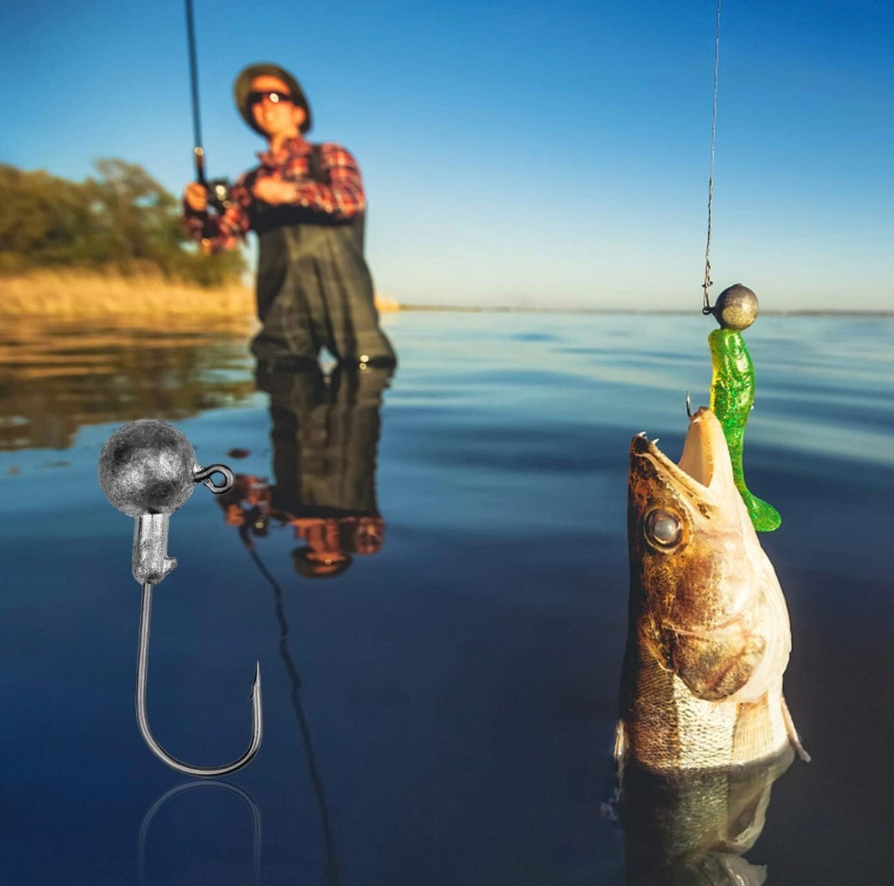 Jigkopf Set in Sortierbox – Jigheads mit Köderhalter für Gummifische