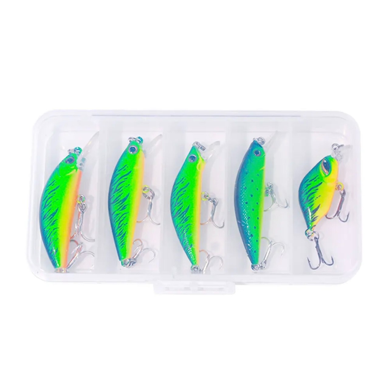 Wobbler Set 5-teilig inkl. Box – Schwimmende Kunstköder aus Hartplastik