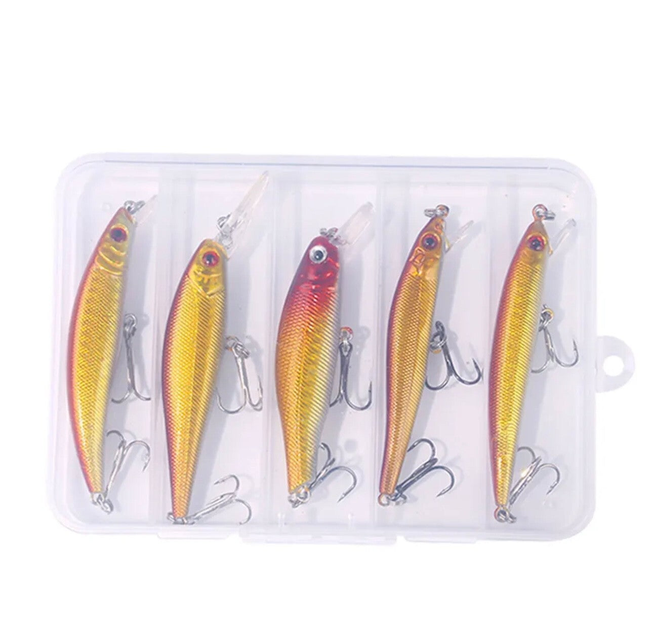 Wobbler Set 5-teilig mit Box – vielseitige Spinnköder