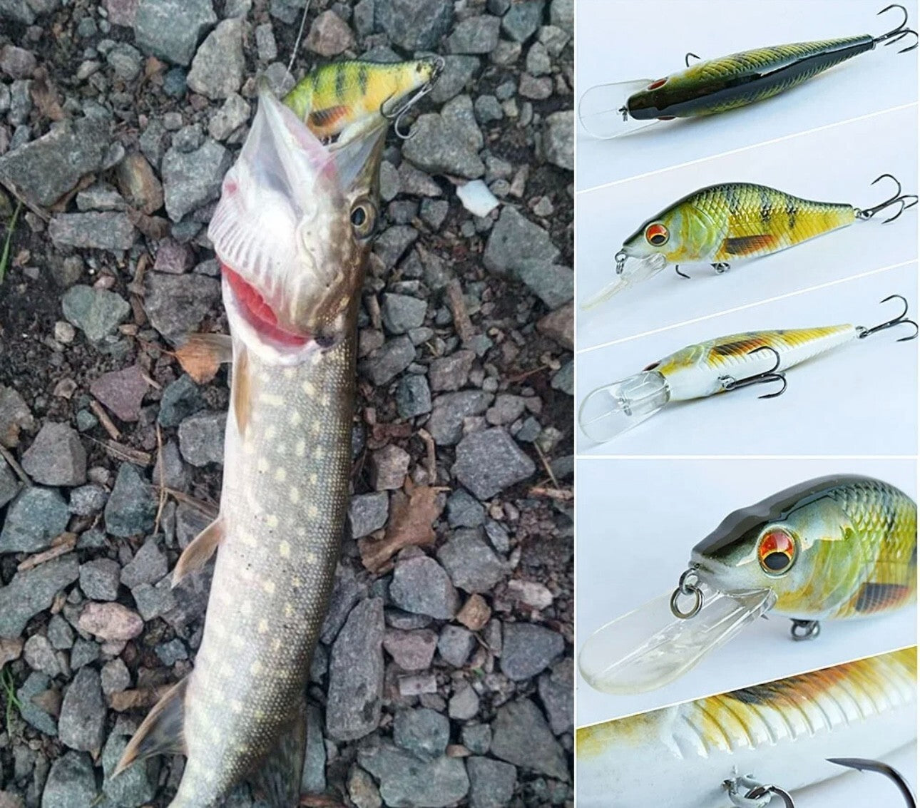 Wobbler Set mit Box 3 Stück Kunstköder Hardbait Barsch & Hecht Angeln Köder