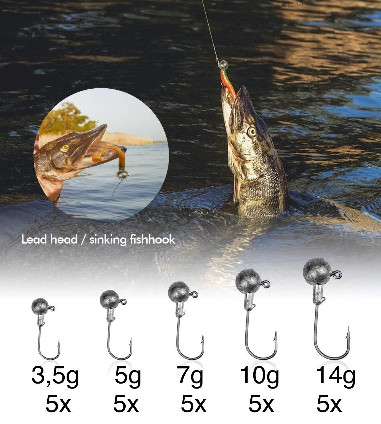 Jigkopf Set in Sortierbox – Jigheads mit Köderhalter für Gummifische