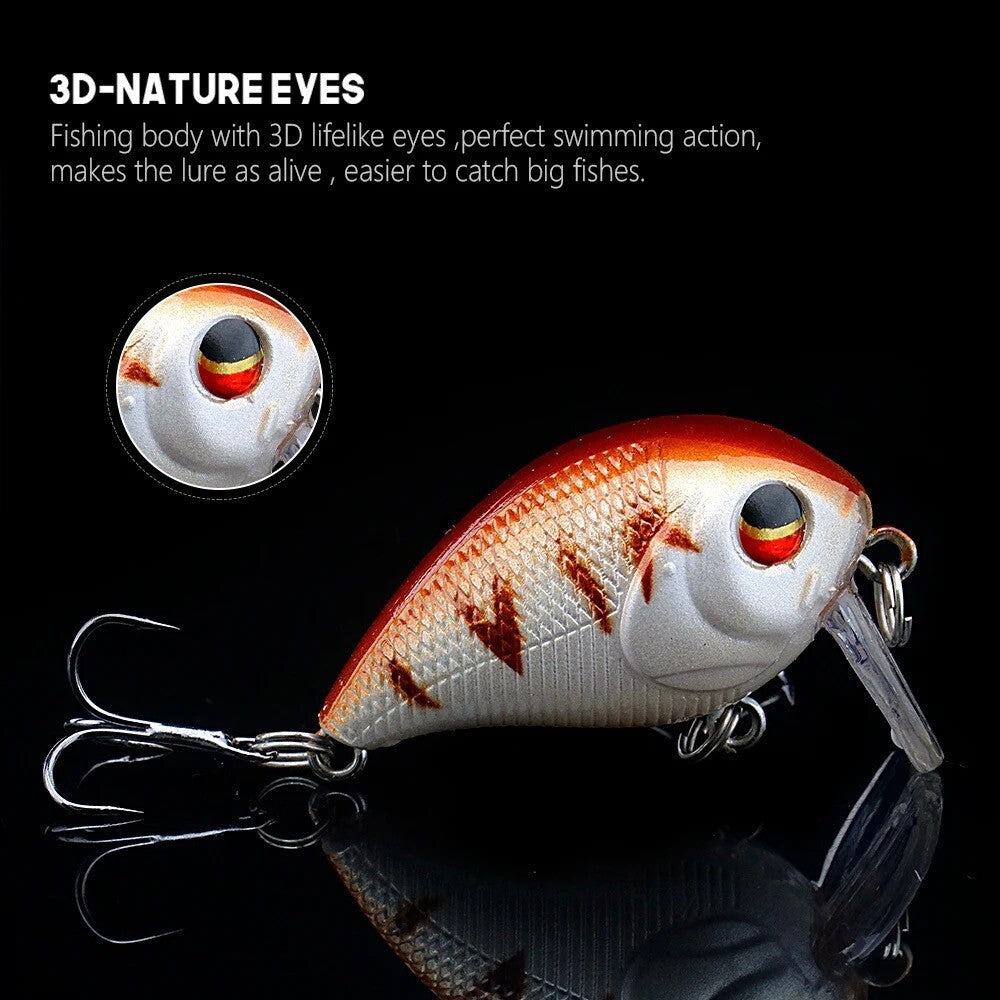 Crankbait Wobbler Set mit Köderbox – Floating Kunstköder für Spinnfischen