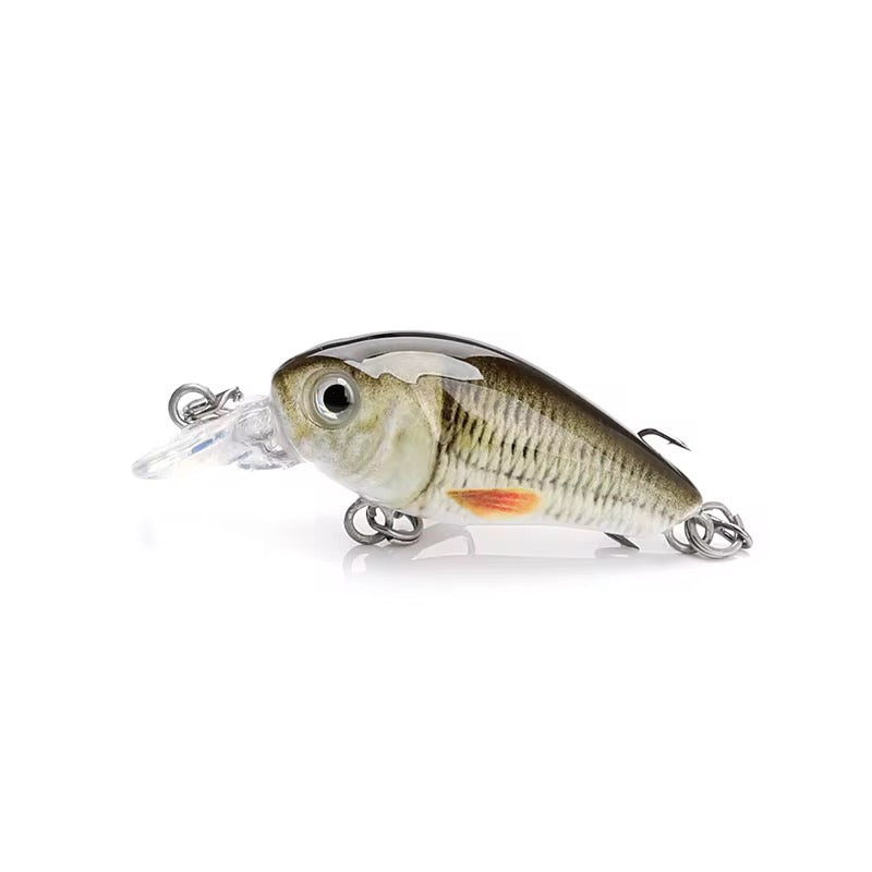 Mini Crankbait Wobbler Set mit Köderbox für Forelle & Barsch