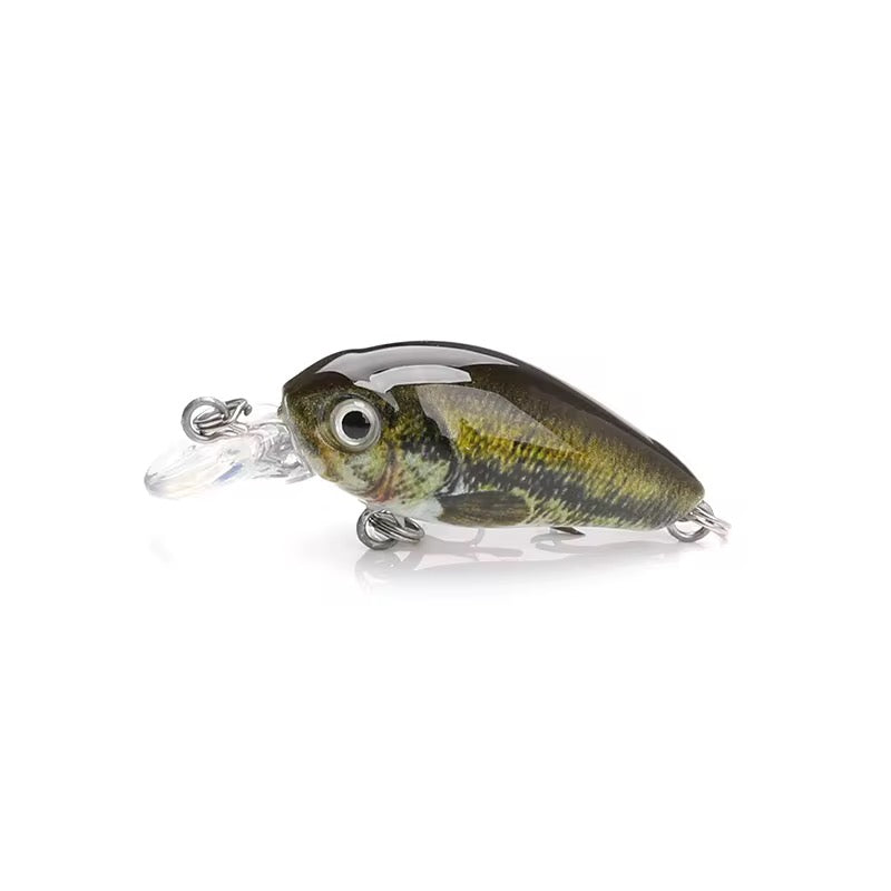 Mini Crankbait Wobbler Set mit Köderbox für Forelle & Barsch
