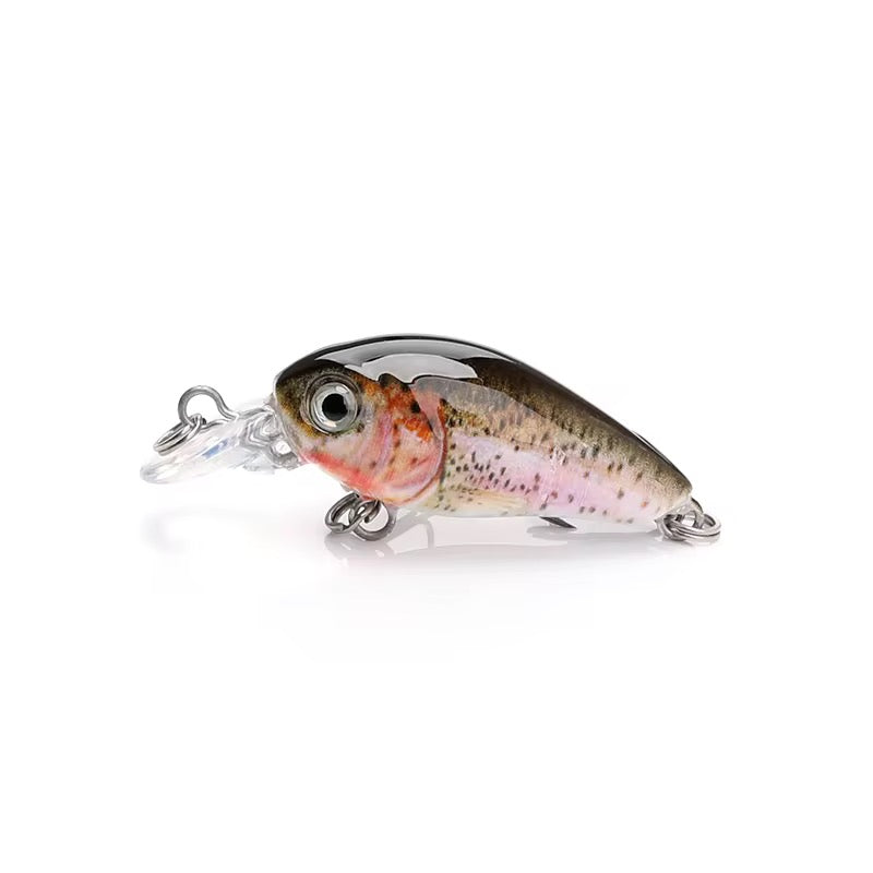 Mini Crankbait Wobbler Set mit Köderbox für Forelle & Barsch