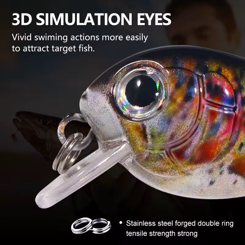 Mini Wobbler Set zum UL Angeln Crankbait Kunstköder für Forelle, Barsch & co